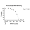 Kras G12D– cRAF Binding Assay Kit 